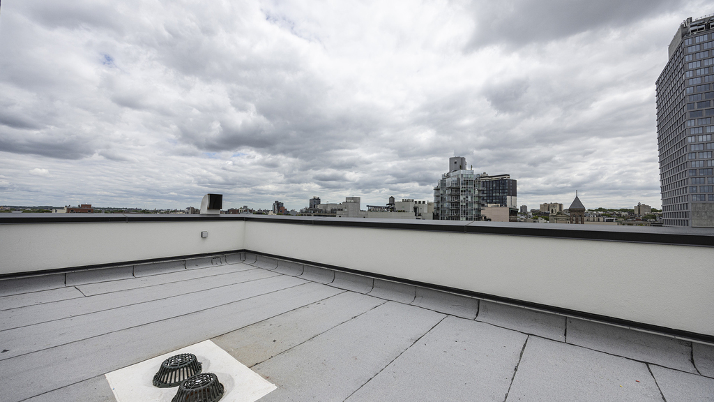 899 Fulton St 11238 - Photo 16