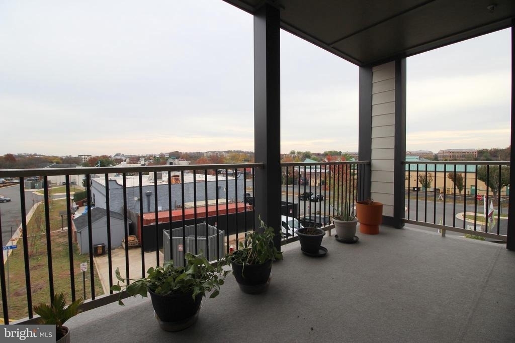 45942 Raven Terrace - Photo 3