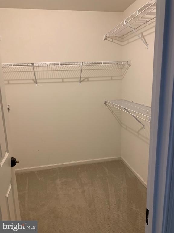 11519 Waterhaven Court - Photo 17