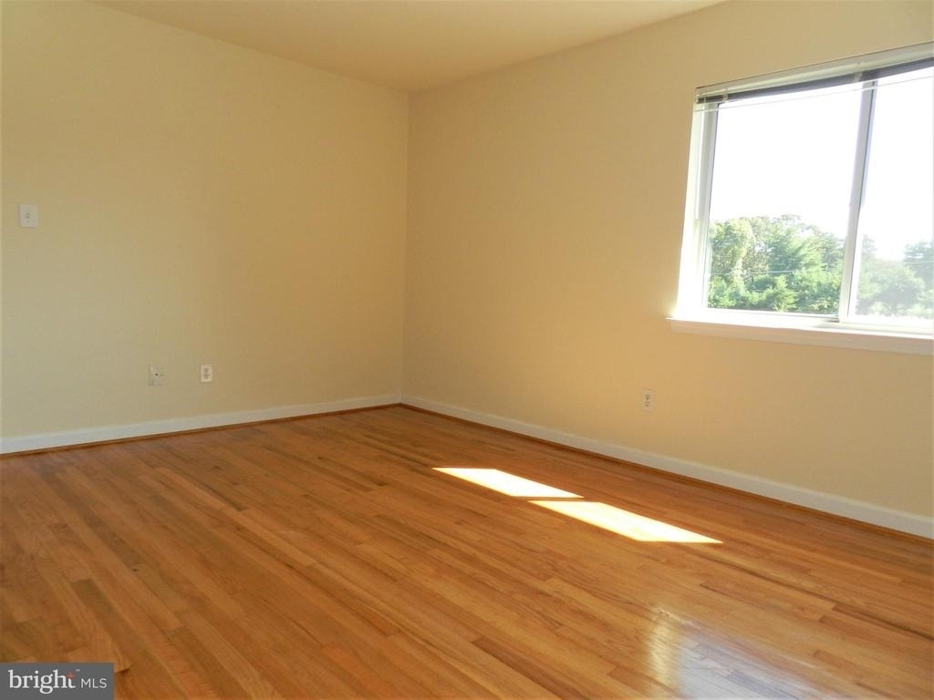 1805 William Street - Photo 9
