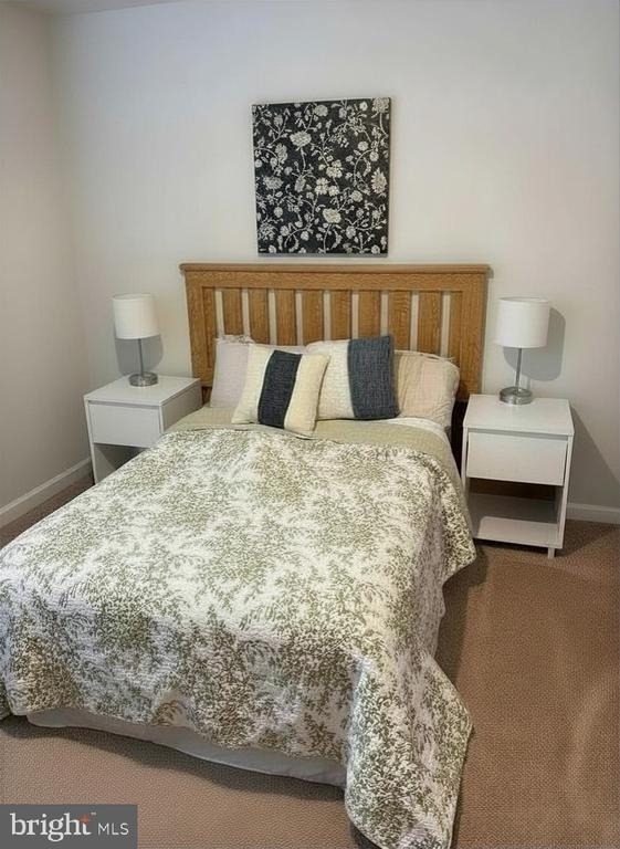 17111 J Shelby Guss Way - Photo 13