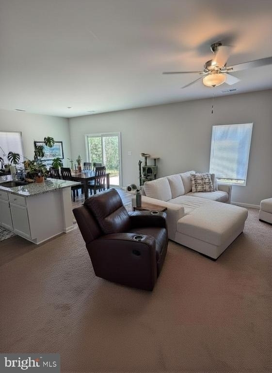 17111 J Shelby Guss Way - Photo 6