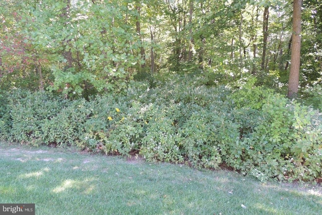 121 Chancellor - Photo 5