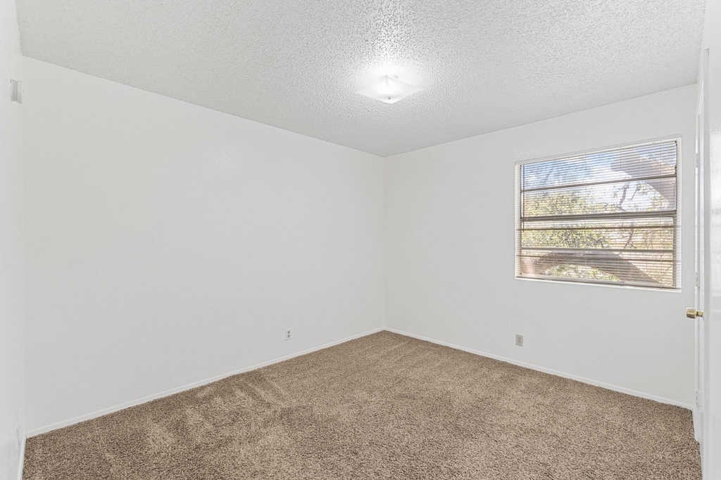 302 Algerita Dr - Photo 16