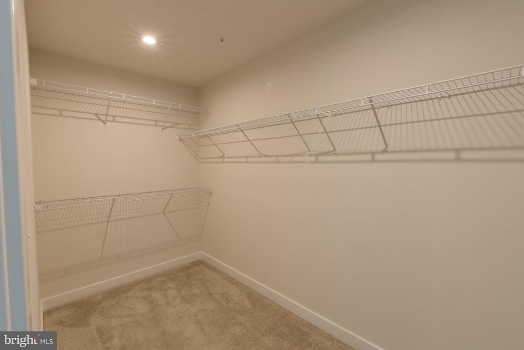 10083 Dressage Drive - Photo 17