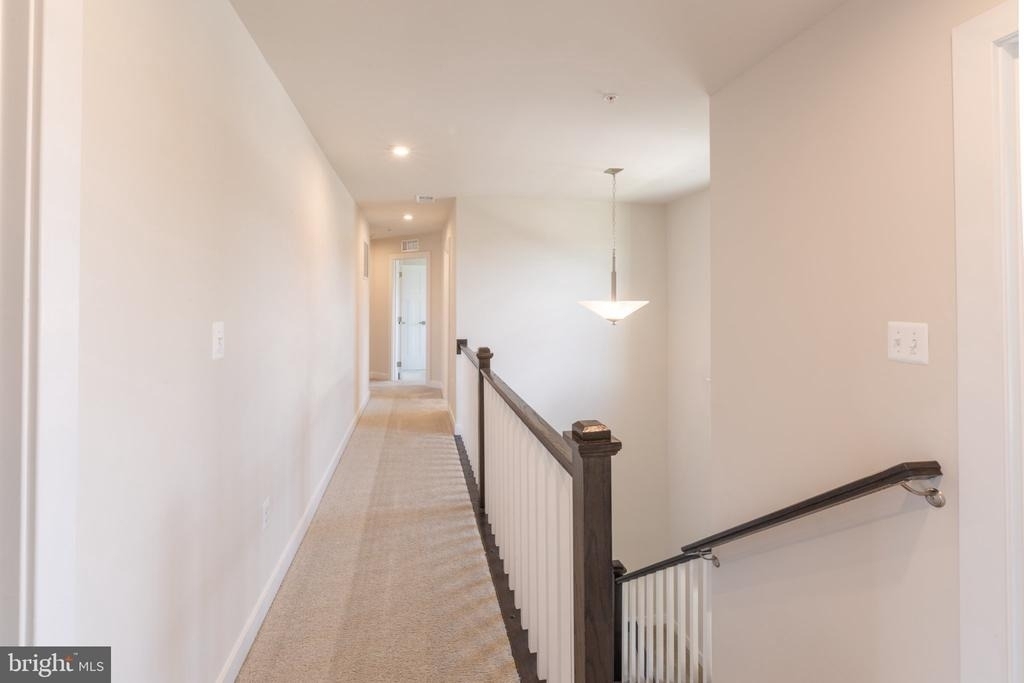 10083 Dressage Drive - Photo 12
