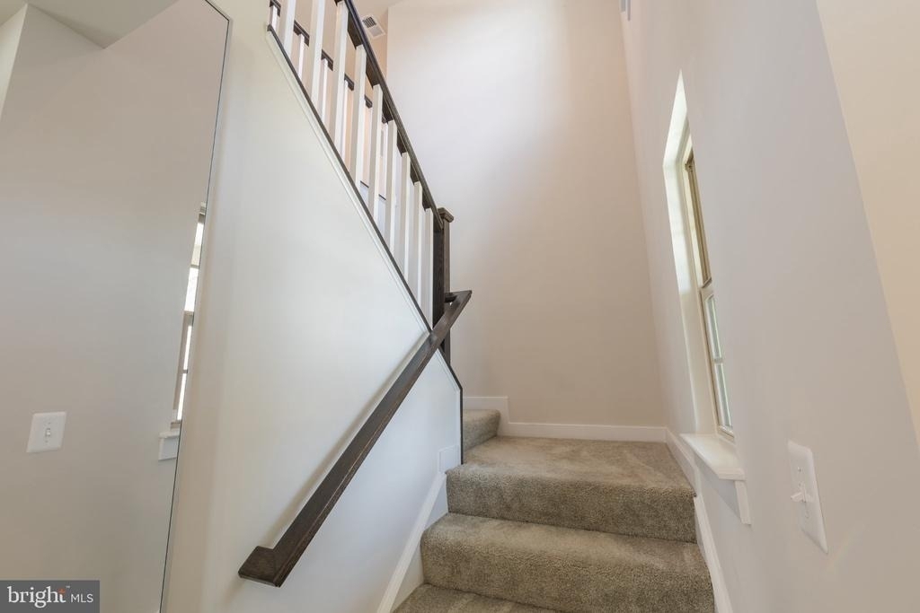 10083 Dressage Drive - Photo 11