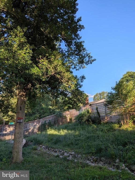 4808 Mori Drive - Photo 18