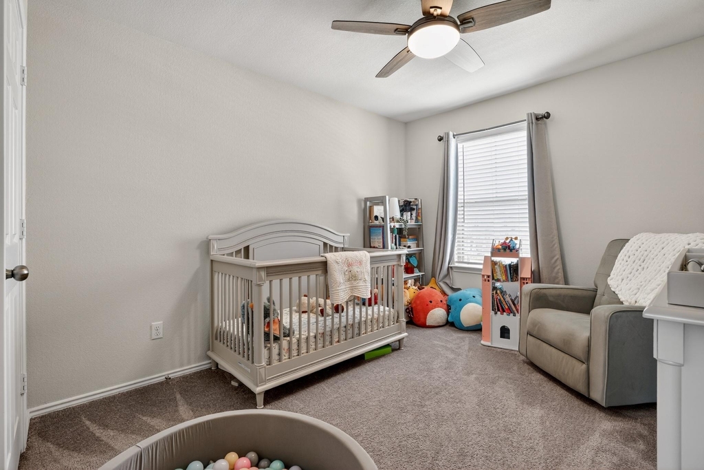 712 Black Alder St - Photo 8