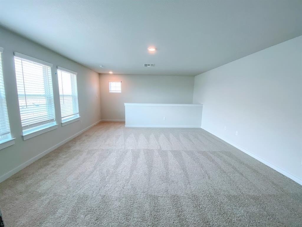 233 William Moon Way - Photo 15