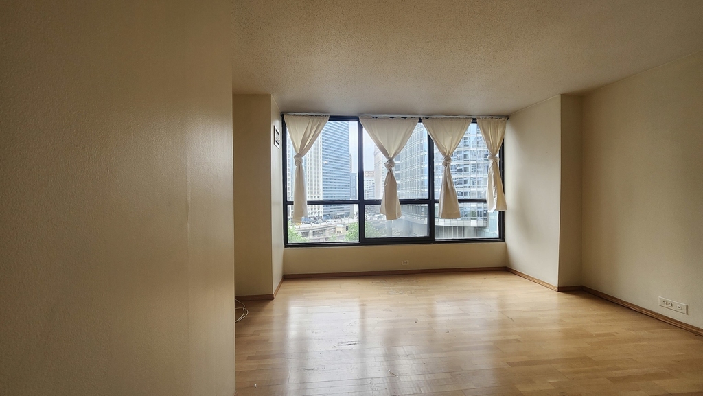 405 N Wabash Avenue - Photo 9