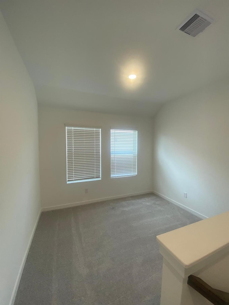 12638 Blue Catfish Lane - Photo 24