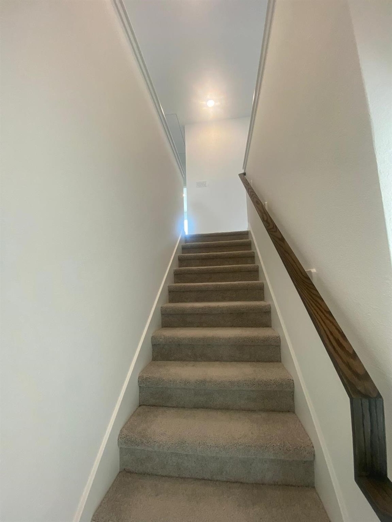 12638 Blue Catfish Lane - Photo 23