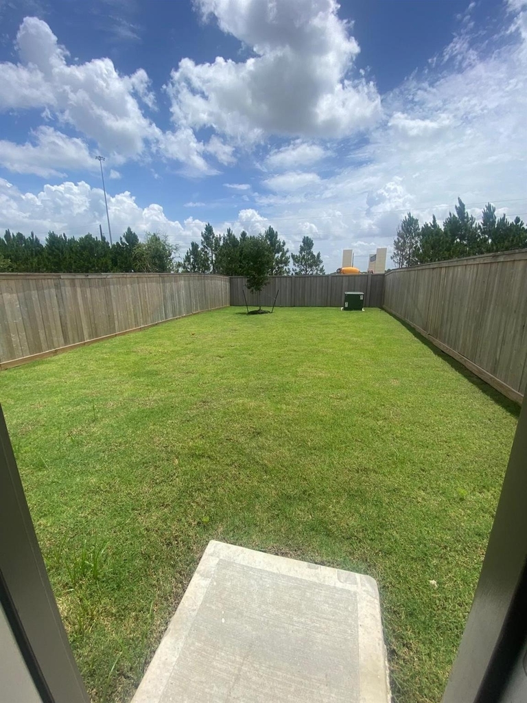 12638 Blue Catfish Lane - Photo 7