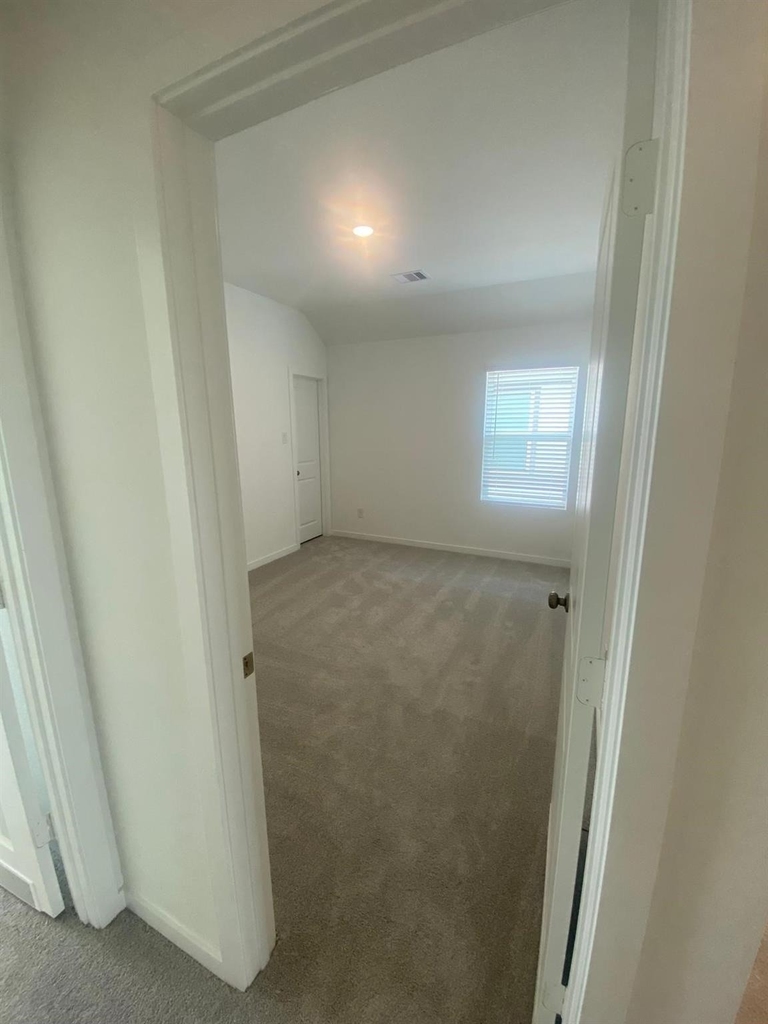 12638 Blue Catfish Lane - Photo 26