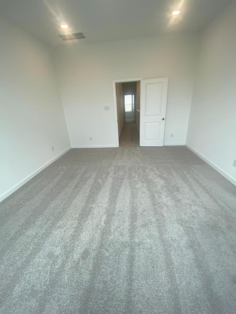 12638 Blue Catfish Lane - Photo 43