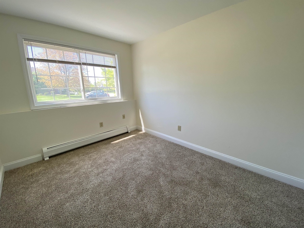 3951 Old Brown - Photo 17