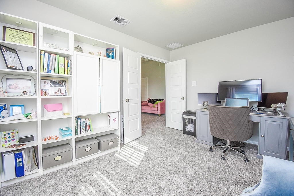 4218 Rocky Plains Lane - Photo 24