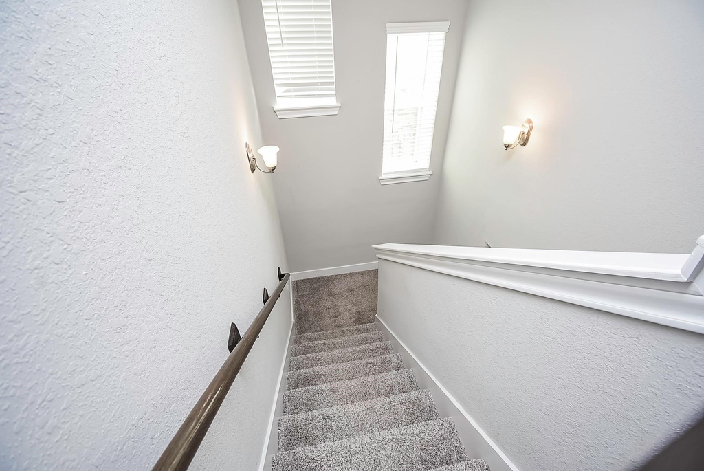 4218 Rocky Plains Lane - Photo 21