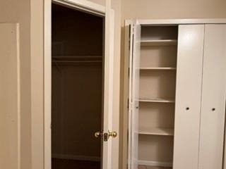 10118 Kirkbluff Drive - Photo 13