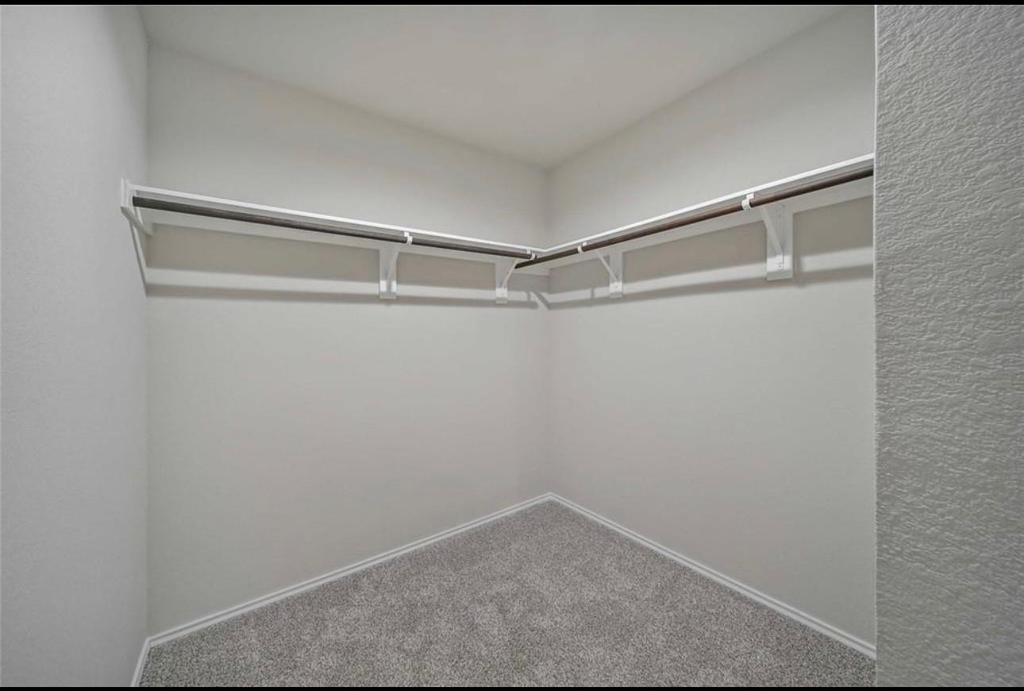 40643 Creekside Bluff Trail - Photo 10