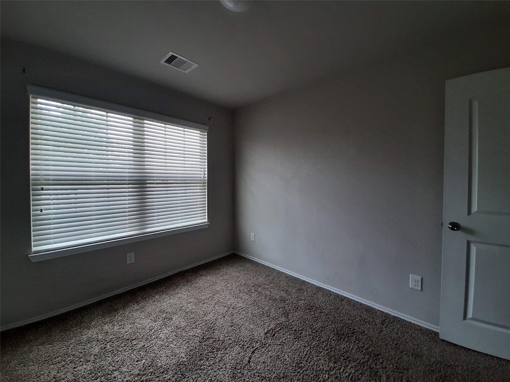 23614 Water Hickory Drive - Photo 7