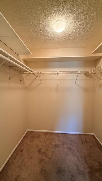3832 Teeside Drive - Photo 13