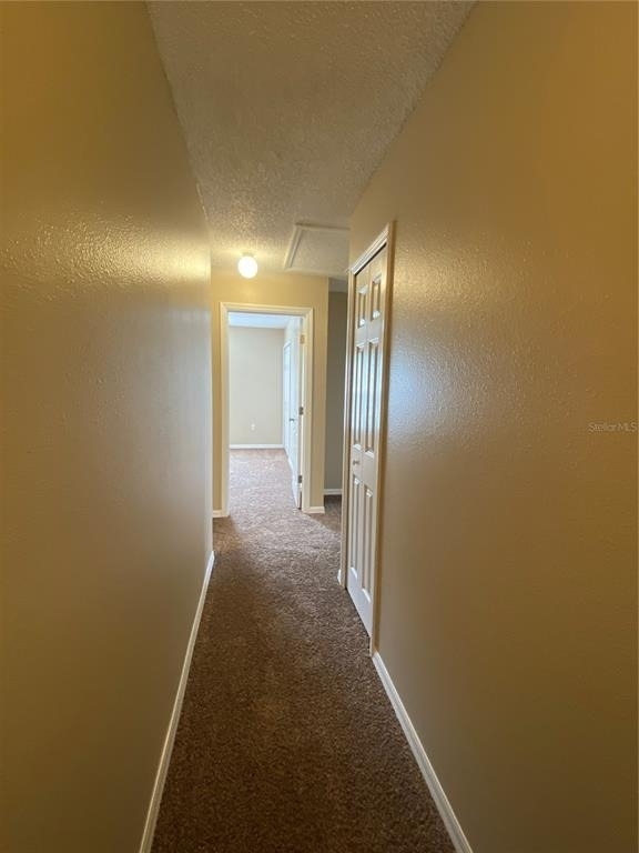 30302 Double Drive - Photo 15
