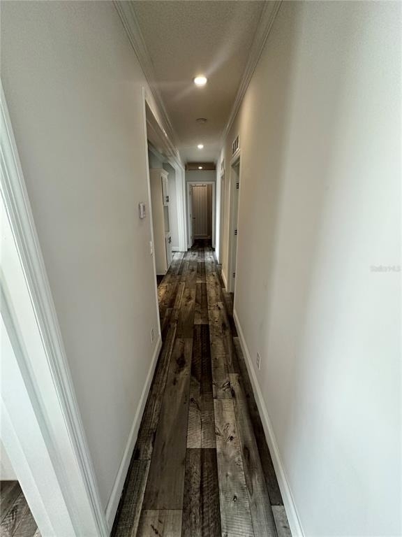 34652 Blue Starling Street - Photo 13