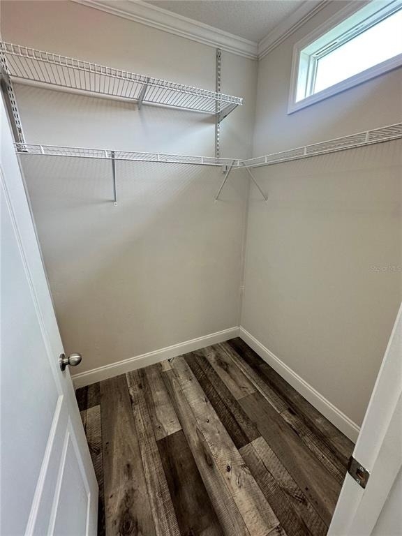 34652 Blue Starling Street - Photo 31