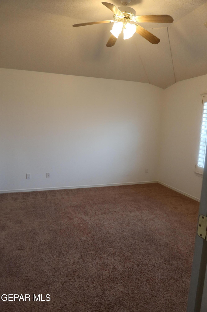 12520 Twin Leaf Drive - Photo 13