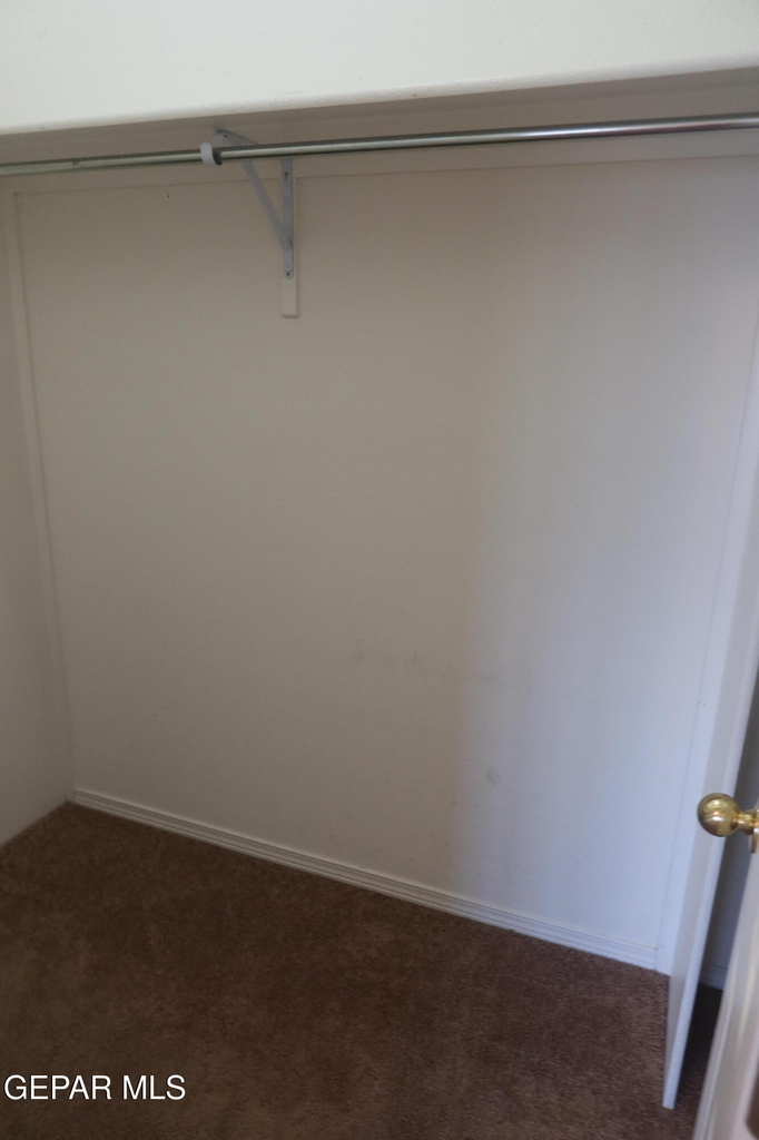 12520 Twin Leaf Drive - Photo 14