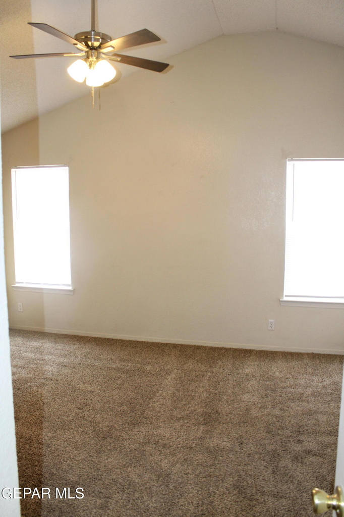 11008 Rogers Hornsby Street - Photo 16
