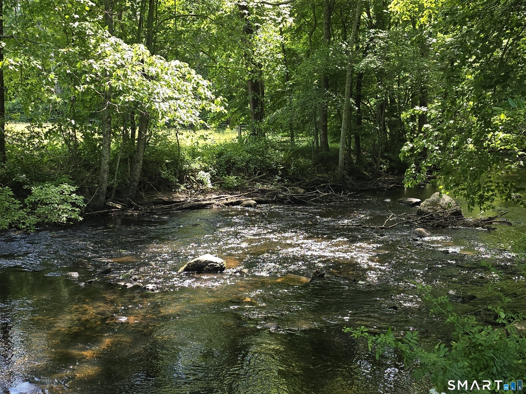 157 River Road - Photo 21