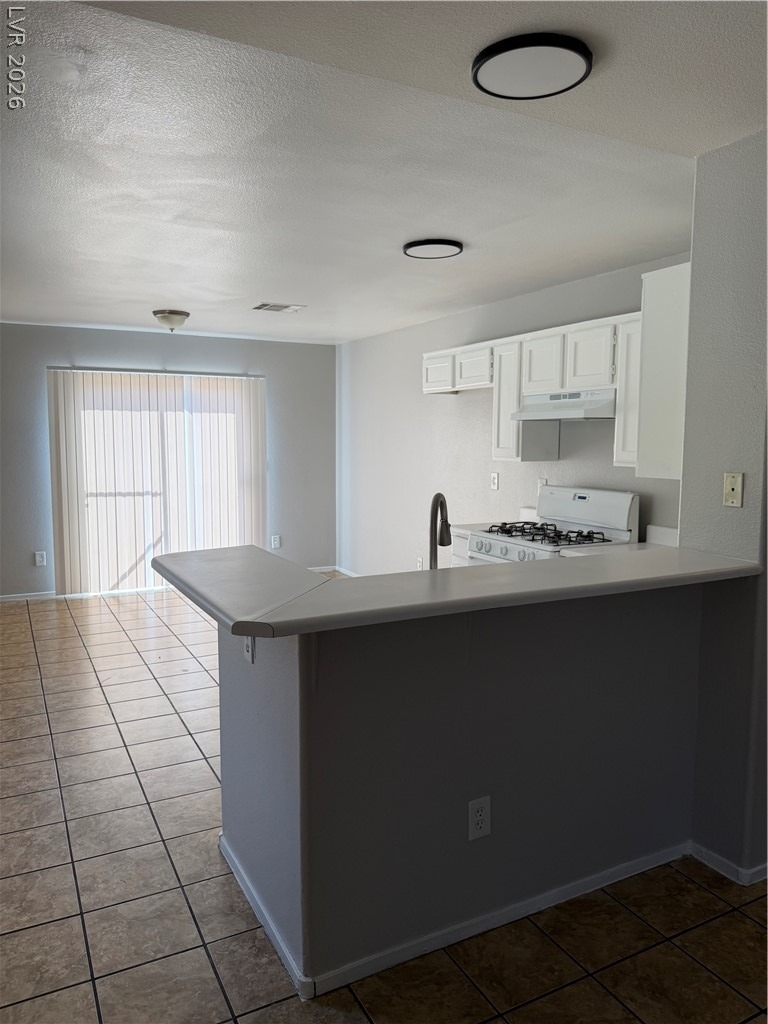 1864 Star Sapphire Court - Photo 8