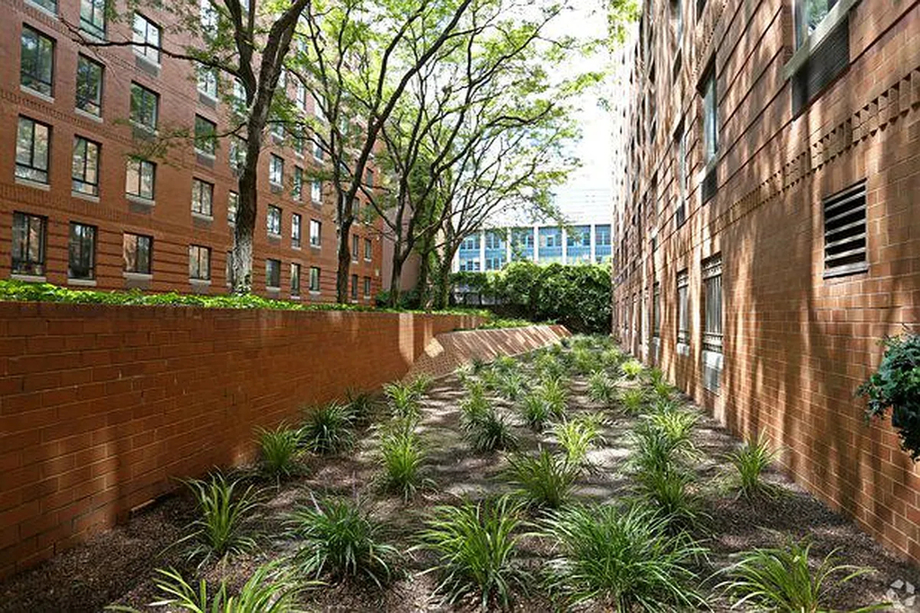 West 53rd Street - Photo 16