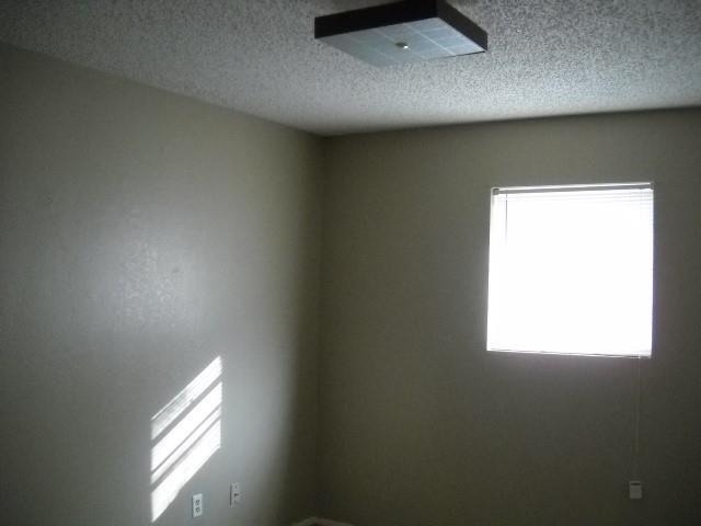 925 Minter Lane - Photo 6