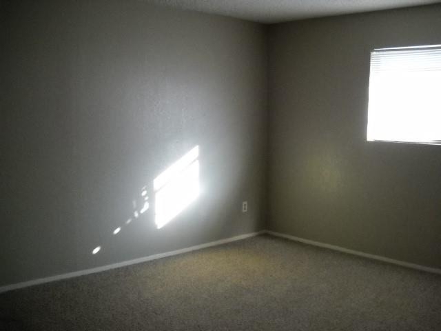 925 Minter Lane - Photo 8