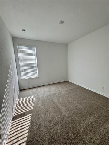 504 Saddle Lane - Photo 17