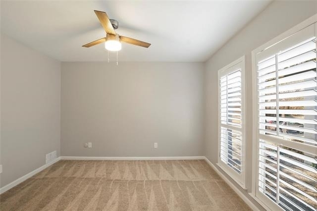 6019 Yellow Rock Trail - Photo 13