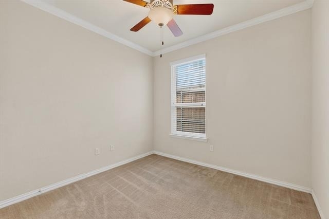 2717 Strand Lane - Photo 33