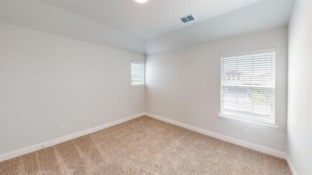 2503 Blue Oasis Court - Photo 13