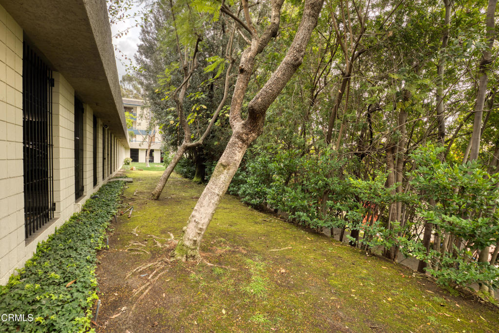 4041 Via Marisol - Photo 28
