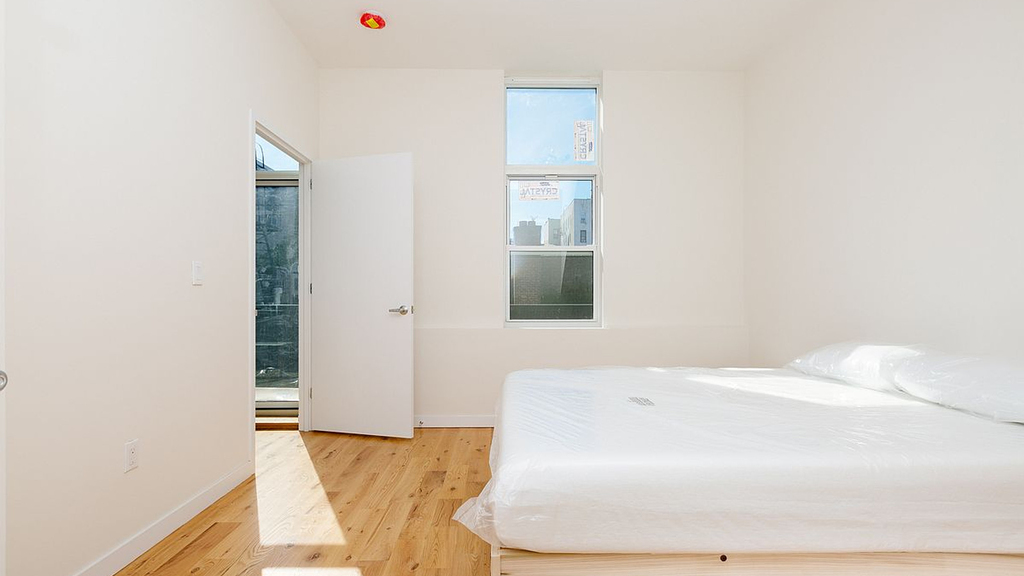 56 Marcy Ave 11211 - Photo 3
