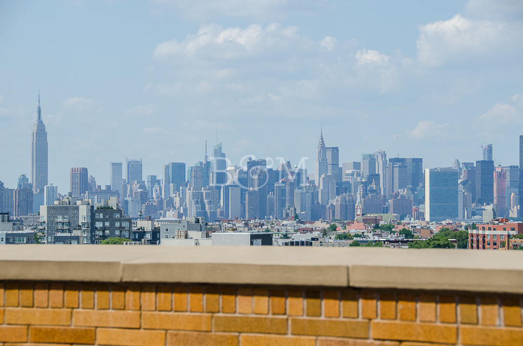 234 Skillman Avenue - Photo 8