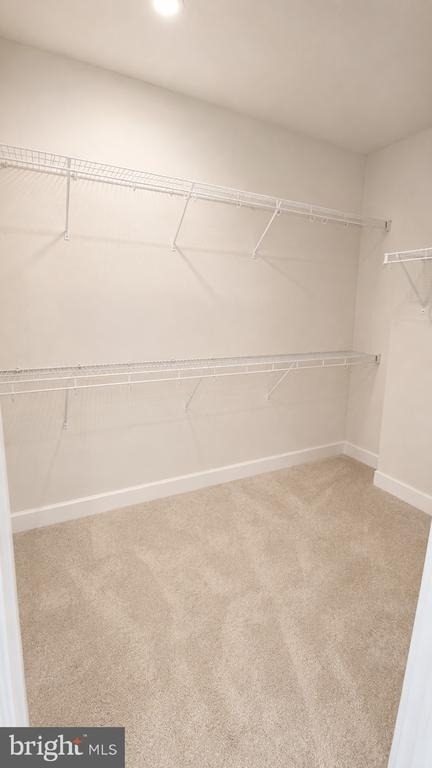 8018 Williamson Boulevard - Photo 18