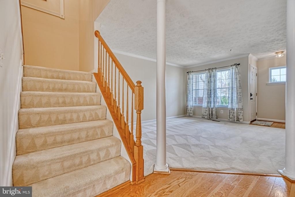 206 Colgate Drive - Photo 8