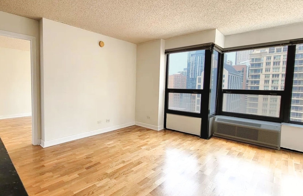 30 E Huron Street - Photo 2
