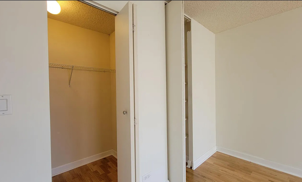 30 E Huron Street - Photo 6