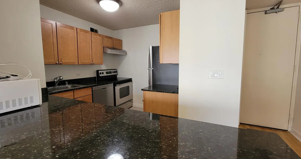 30 E Huron Street - Photo 3